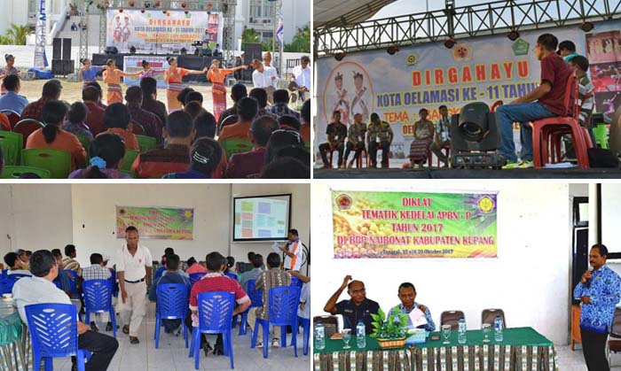 Pertanian jadi Andalan Pembangunan Kabupaten Kupang